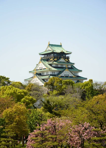 Plano Vertical Del Castillo Osaka Japón —  Fotos de Stock