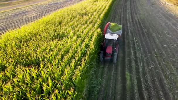 联合收割机清理玉米地 — 图库视频影像
