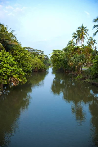 Guatemala Vista Panorámica Del Manglar Con Reflejos Cielo Azul Nublado —  Fotos de Stock