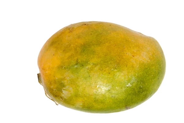 Mango Gruppo Mangifera Indica Pashte Fresco Biologico — Foto Stock