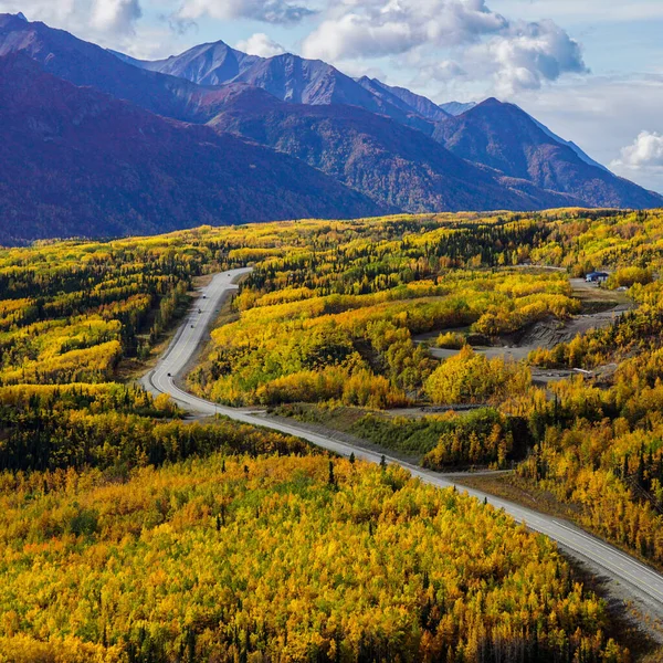 背後には黄金色の紅葉と山のある落葉樹林を抜ける滑らかな道 — ストック写真
