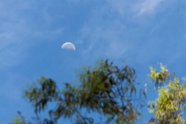 Lua Minguante Vista Cidade Guatemala — Fotografia de Stock