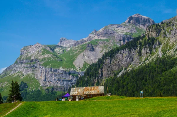 A green landscape of Plain Joux in Chamonix in Haute Savoie in France