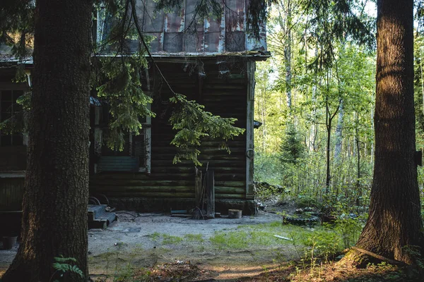 Ein Altes Holzhaus Wald — Stockfoto