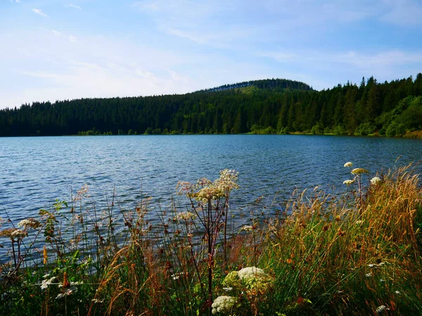 Ωραία Εικόνα Της Λίμνης Servieres Που Βρίσκεται Στην Auvergne Στο — Φωτογραφία Αρχείου