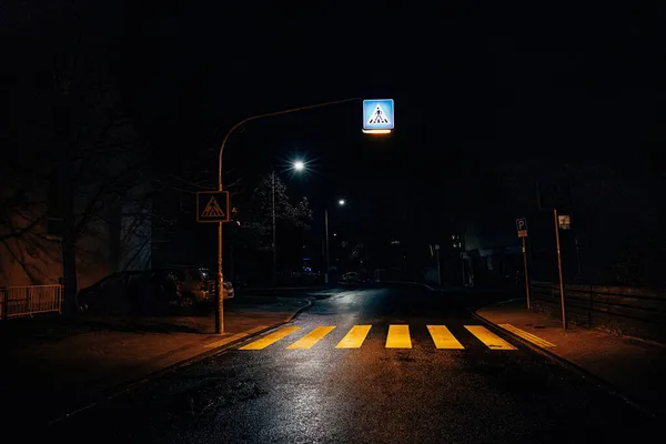 Gece Boyunca Sokak Lambalarının Altında Bir Yayanın Yakın Çekim Görüntüsü — Stok fotoğraf