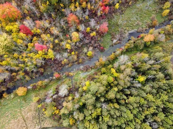 가을에 들판을 관통하는 개울의 — 스톡 사진