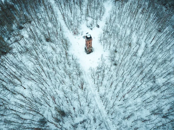 Grote Toren Het Midden Van Een Wit Sneeuw Bos — Stockfoto