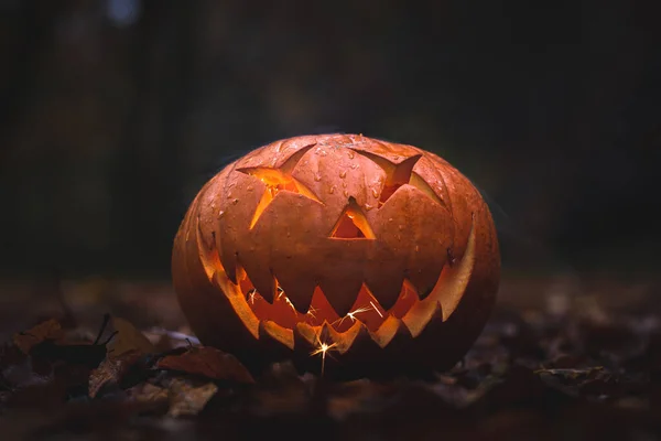 Scary Halloween Calabaza Cara Oscuridad —  Fotos de Stock