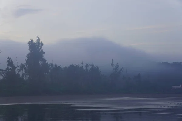 Bosque Misterioso Día Niebla — Foto de Stock