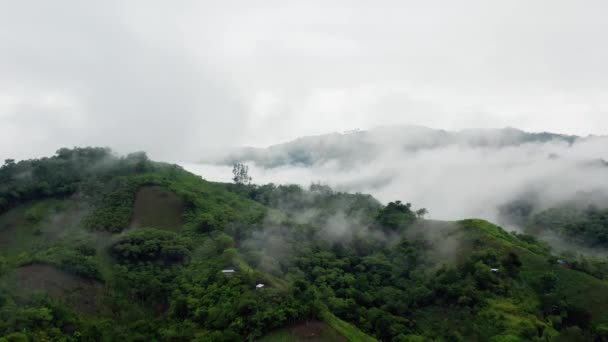 美しい山の風景 自然背景 — ストック動画