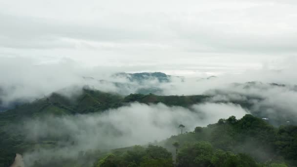 Nevoeiro Manhã Com Nuvens — Vídeo de Stock