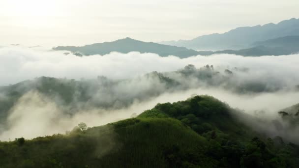 Montanhas Cobertas Nuvens Nevoeiro — Vídeo de Stock