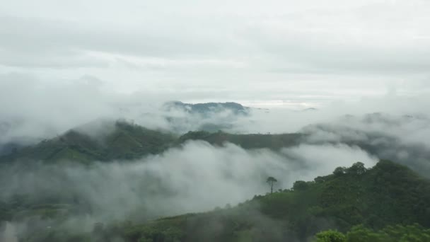 雲や霧に覆われた山は — ストック動画