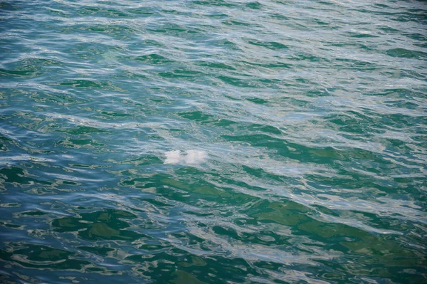 Detailní Záběr Mořské Vlny Denního Světla Skvělé Pro Tapety Pozadí — Stock fotografie