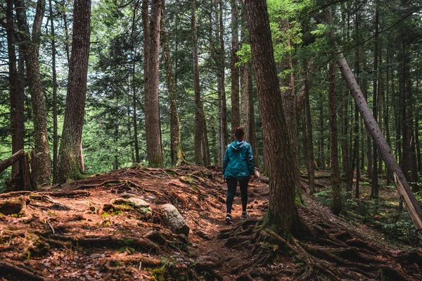 New Hampshire Abd Deki Beyaz Dağlar Ormanında Yürüyüş Yapan Bir — Stok fotoğraf