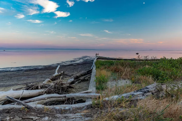 台風の後に丸太を砕いた海岸の防波堤 — ストック写真