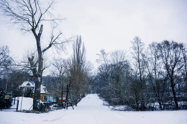 Poznan Polen Jan 2017 Een Leeg Wandelpad Bedekt Met Sneeuw — Stockfoto