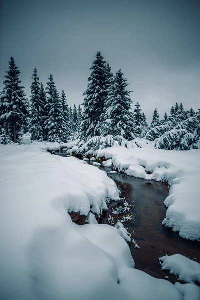 Een Verticale Opname Van Een Beekje Omringd Door Sneeuw Ijs — Stockfoto