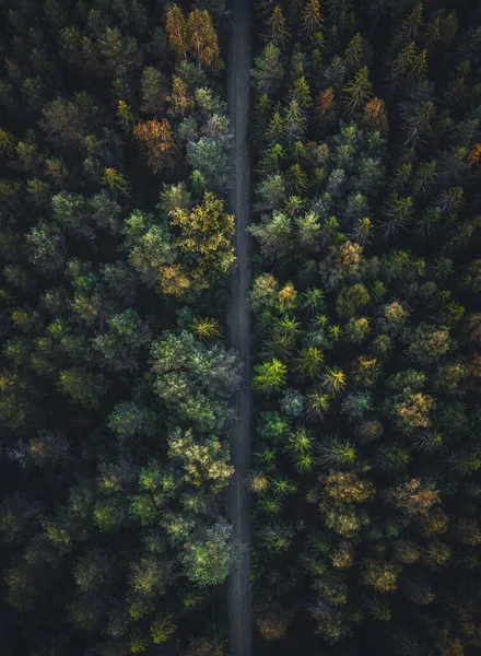 Μια Εναέρια Άποψη Ενός Αυτοκινητόδρομου Ανάμεσα Στα Δάση Πυκνά Δέντρα — Φωτογραφία Αρχείου