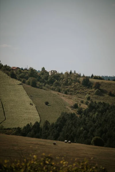 Natural View Vast Agricultural Field Countryside — Stock Photo, Image