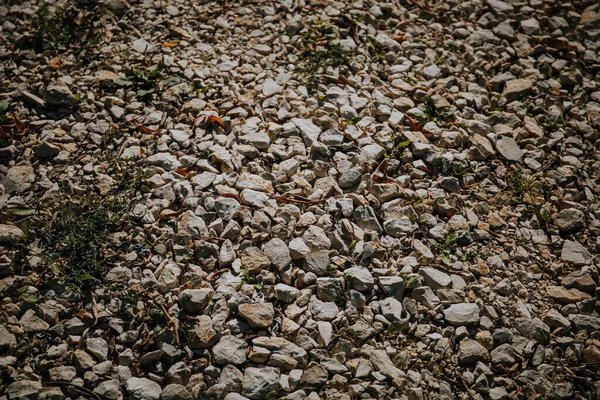 Tiro Perto Pedras Chão — Fotografia de Stock