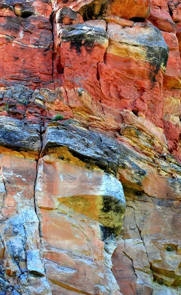 Вертикальний Знімок Красивої Скелі — стокове фото