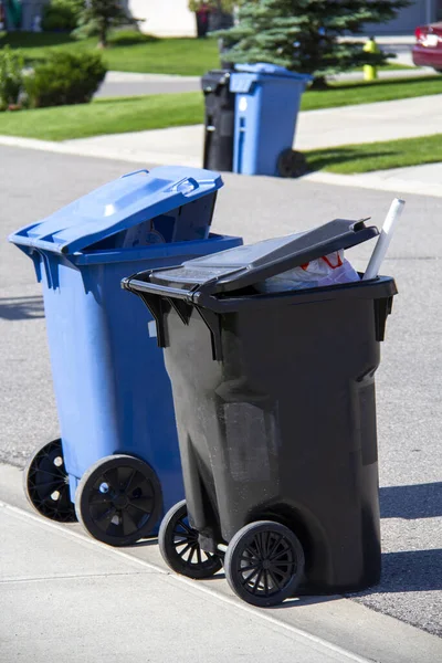 View Two Trashcans Sidewalk — Stock Photo, Image