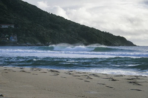 Gyönyörű Kilátás Nyílik Strandok Florianopolis Brazília — Stock Fotó