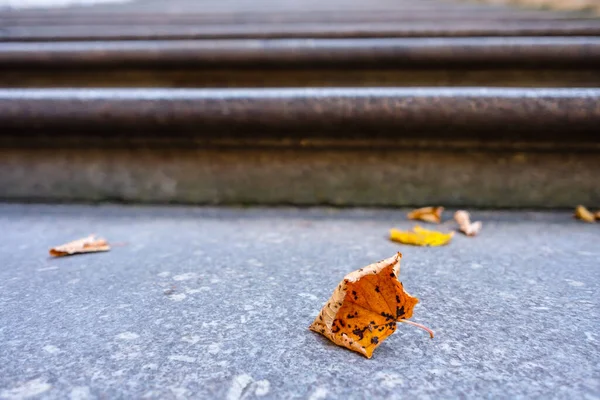 가을철에 가까이 계단에 색칠되어 — 스톡 사진