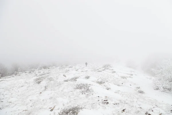 Lone Person Walking Snowy White Mountain — Stock Photo, Image
