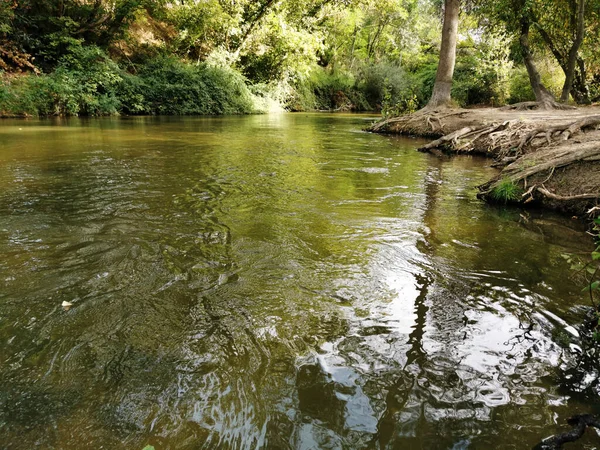 Manzanares Nehrinin Spanya Daki Büyüyen Bitki Örtüsünden Akan Yakın Plan — Stok fotoğraf