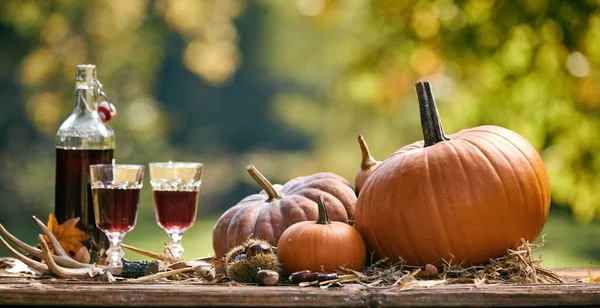 Een Halloween Tafel Met Verse Pompoenen Twee Glazen Rode Wijn — Stockfoto