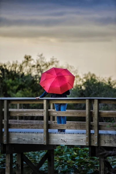 Egy Függőleges Felvétel Egy Nőről Rózsaszín Esernyővel Amint Egy Hídon — Stock Fotó