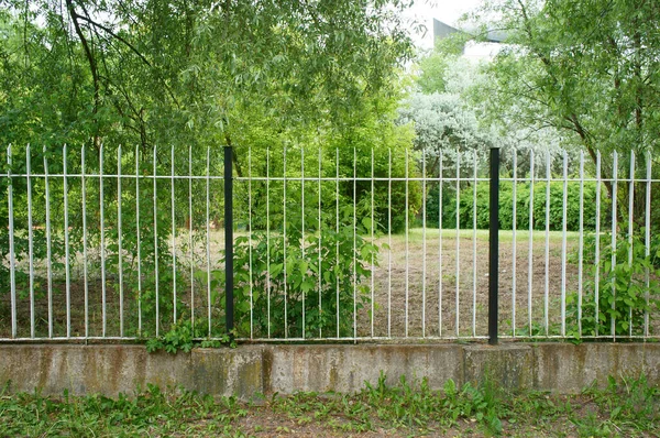 Ein Metallzaun Mit Grüner Vegetation — Stockfoto