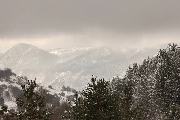Eine Schöne Aufnahme Der Verschneiten Berglandschaft Mit Wäldern — Stockfoto