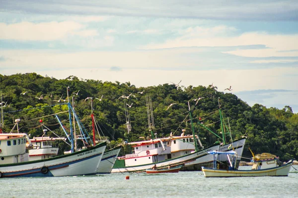 Porto Belo Brazil Apr 2012 Many Fishing Boats Anchored Bay — Stock Photo, Image