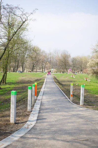 Poznan Poland Mar 2014 Row Poles Next Path Park — Stock Photo, Image