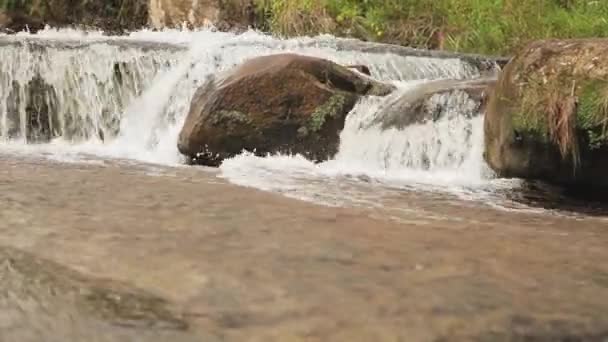 Belle Vue Sur Cascade Forêt — Video