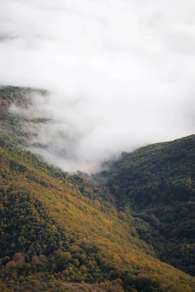 Μια Κάθετη Βολή Από Όμορφους Καταπράσινους Λόφους Καλυμμένους Ομίχλη — Φωτογραφία Αρχείου