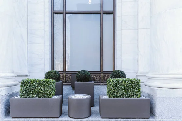 Big gray, metal planters with foliage plants and terrace design with a modern mix of construction material. Bushes against a building with big window