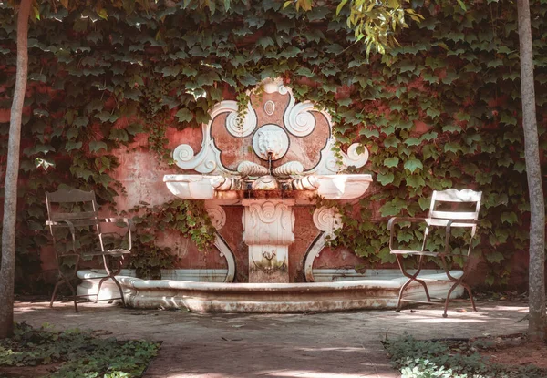 정원에 빈티지 의자의 클로즈업 — 스톡 사진