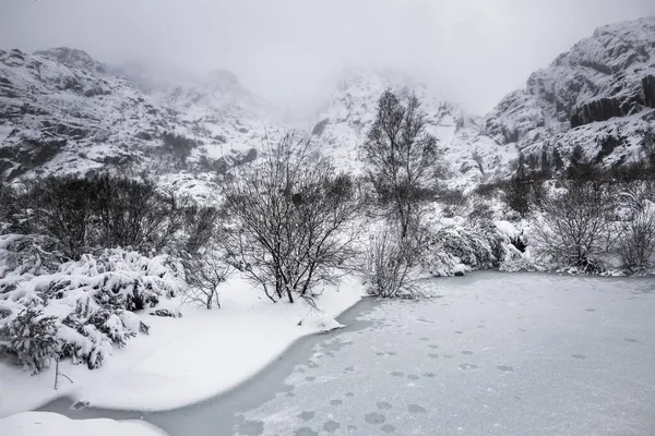 冬天结冰的小湖 葡萄牙的Serra Estrela — 图库照片