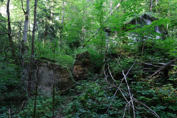 Goldap Polen Juli 2021 Goldap Polen Juli 2021 Robinson Bunkeranlage — Stockfoto