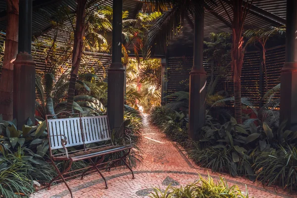 Крупний Знімок Металевої Лави Екзотичному Парку Красивими Рослинами — стокове фото