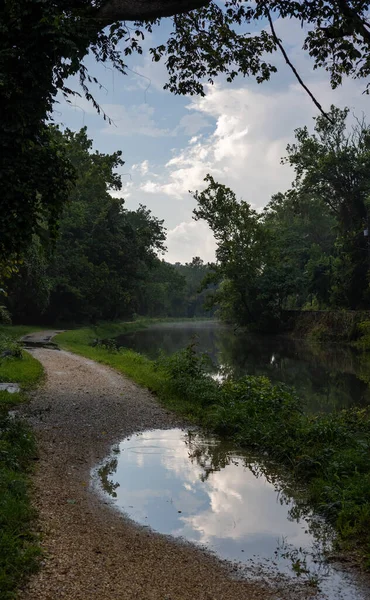 公園内の木やルートに囲まれた小川の垂直ショット — ストック写真
