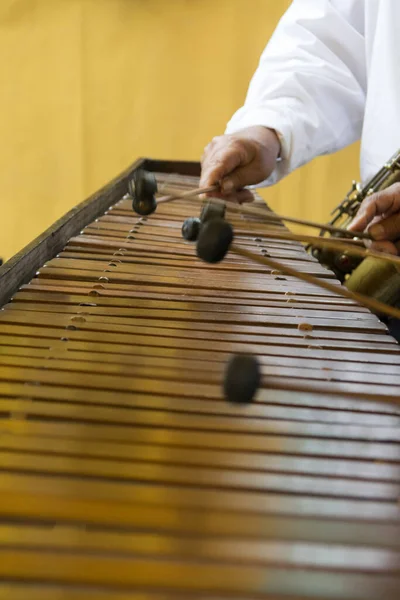 危地马拉的国家乐器 用Hormigo木材制成中美洲的Marimba键盘 — 图库照片