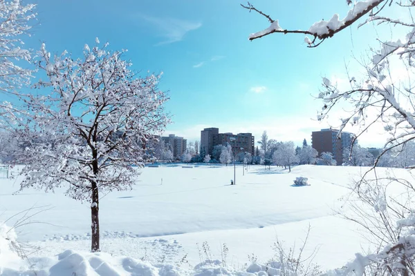 Horizonte Edificios Campo Nevado Mañana — Foto de Stock