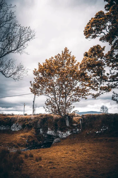Een Herfst Landschap Van Een Boerderij Ierland — Stockfoto