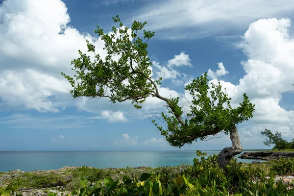 Kıyı Bölgesinin Tropikal Manzarası Turkuazlı Plajlar Sakin Bulutlu Mavi Gökyüzü — Stok fotoğraf
